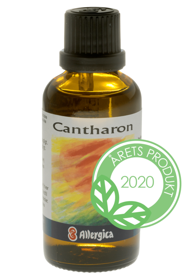 Cantharon - Image 2