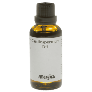 Cardiospermum D4