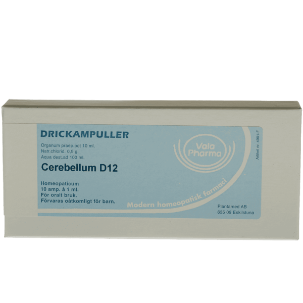 Cerebellum D12