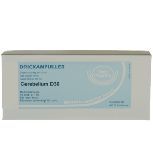 Cerebellum D30