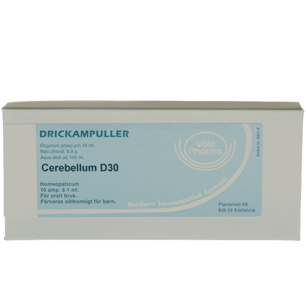 Cerebellum D30