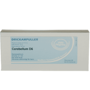 Cerebellum  D6