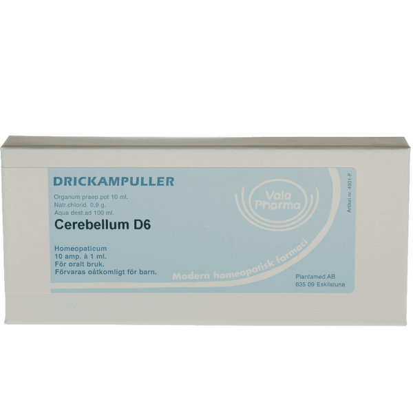 Cerebellum  D6