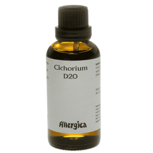 Cichorium D20