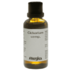 Cichorium comp.