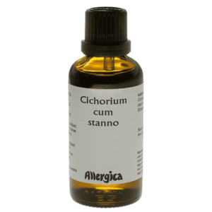 Cichorium cum stanno