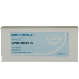 Cortex cerebri  D6