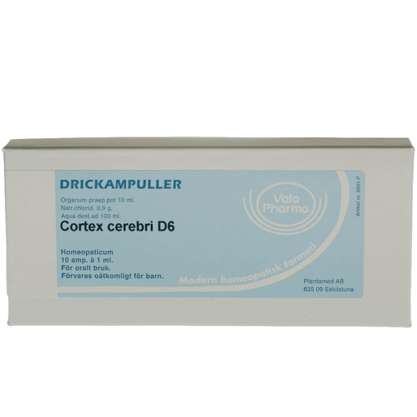 Cortex cerebri  D6