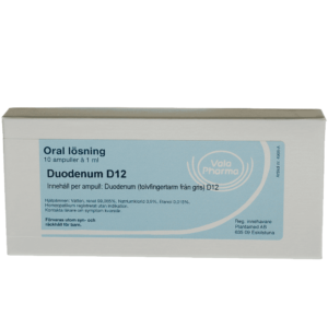 Duodenum D12
