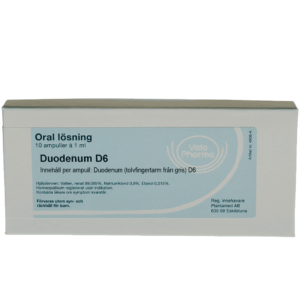Duodenum D6