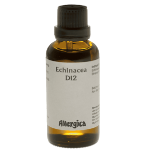 Echinacea D12