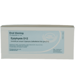 Epiphysis D12