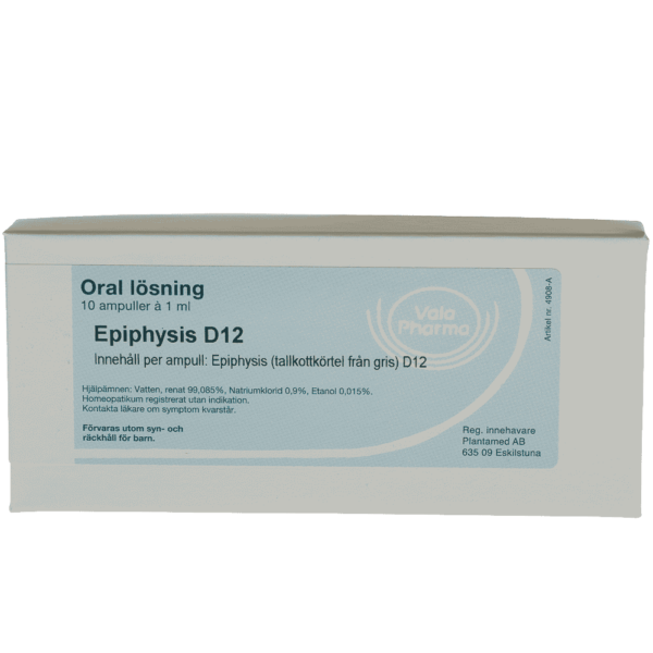 Epiphysis D12