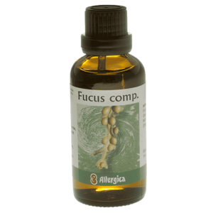 Fucus comp.