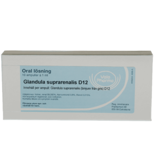 Glandula suprarenalis D12