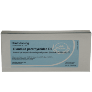 Glandula parathyroidea  D6