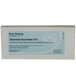 Glandula thyroidea D12