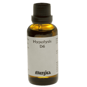 Hypofysis D6