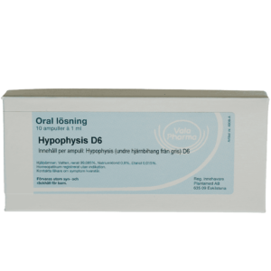 Hypophysis  D6