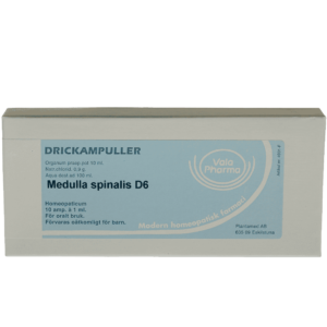 Medulla spinalis  D6