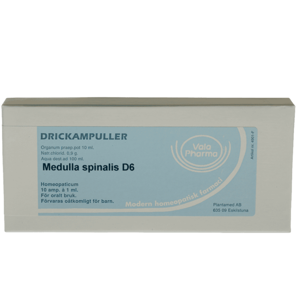 Medulla spinalis  D6