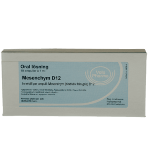 Mesenchym D12