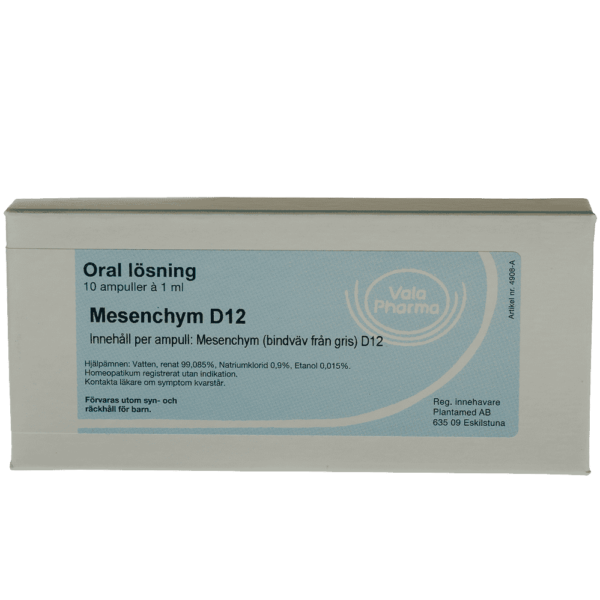 Mesenchym D12