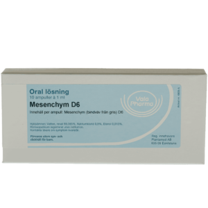 Mesenchym  D6