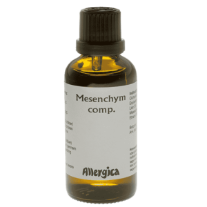 Mesenchym comp.
