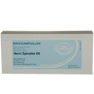 Nervi spinalis  D6