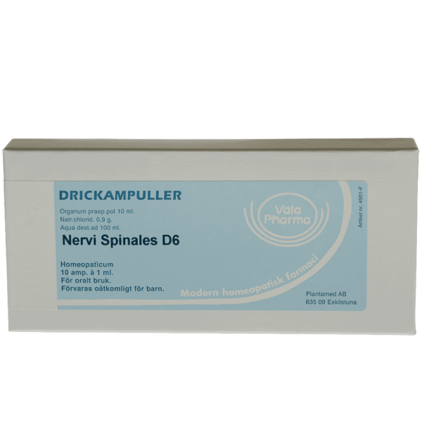 Nervi spinalis  D6