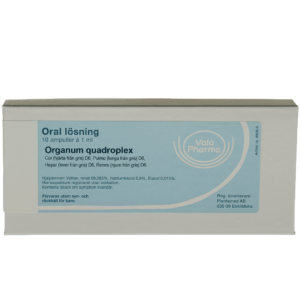 Organum quadroplex