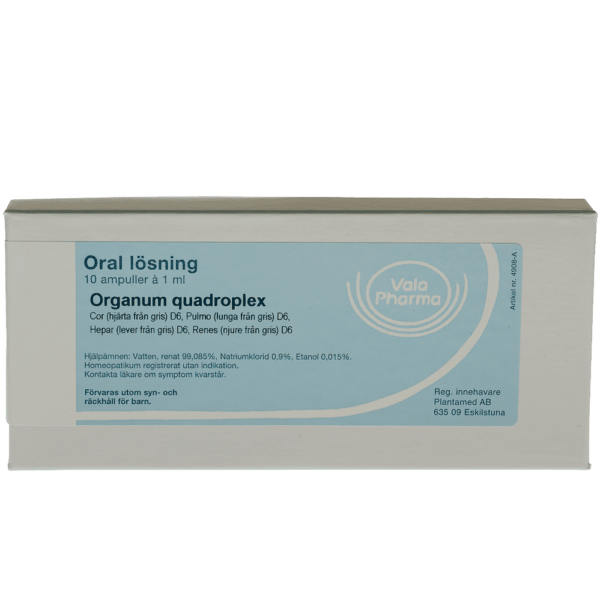 Organum quadroplex