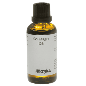 Solidago D6