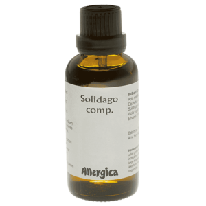 Solidago comp.