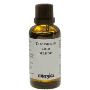 Taraxacum cum stanno