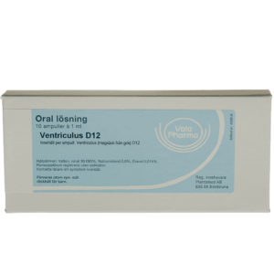 Ventriculus D12