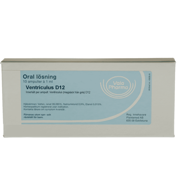 Ventriculus D12
