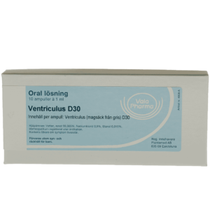 Ventriculus D30