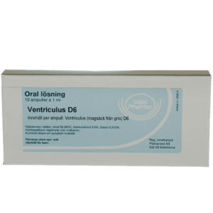Ventriculus  D6