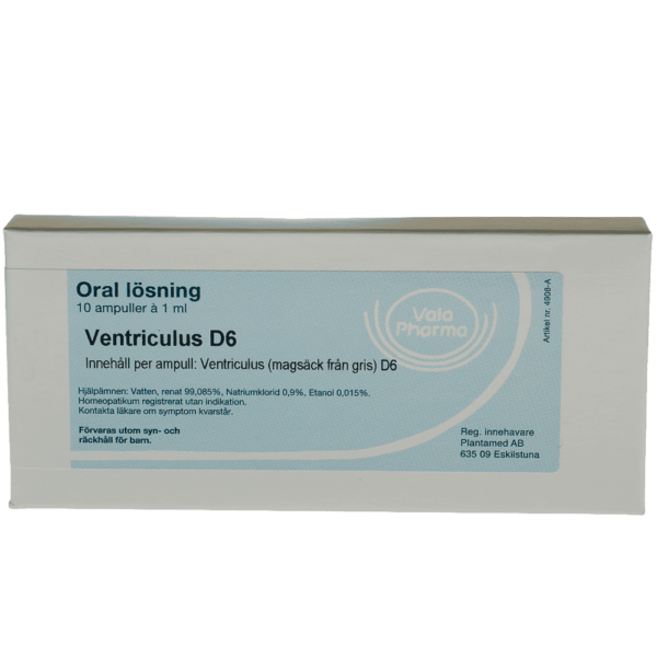 Ventriculus  D6