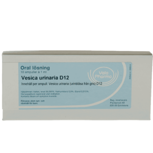 Vesica urinaria D12