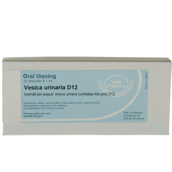 Vesica urinaria D12