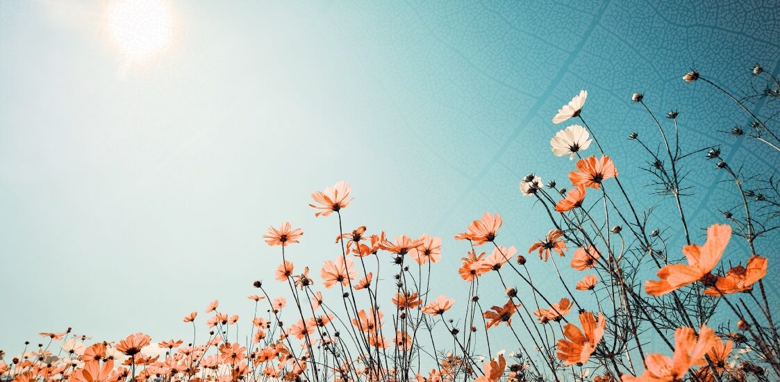 Blomster m. bladeffekt