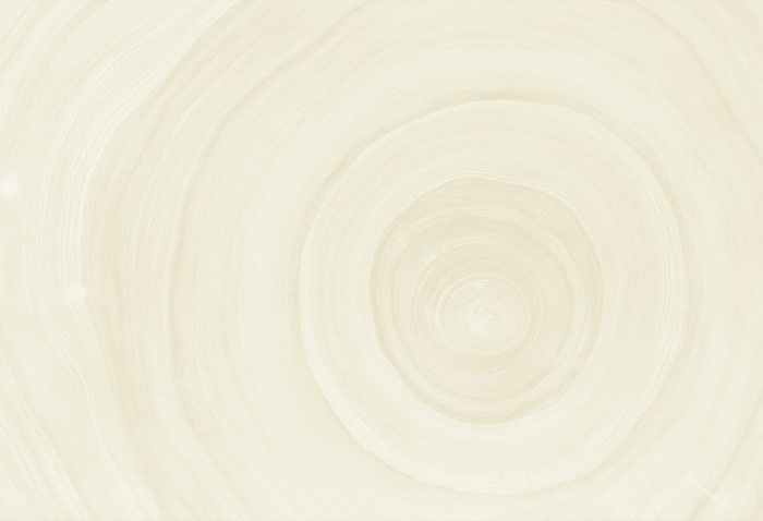 Tværsnit af en træstamme - baggrundsbillede