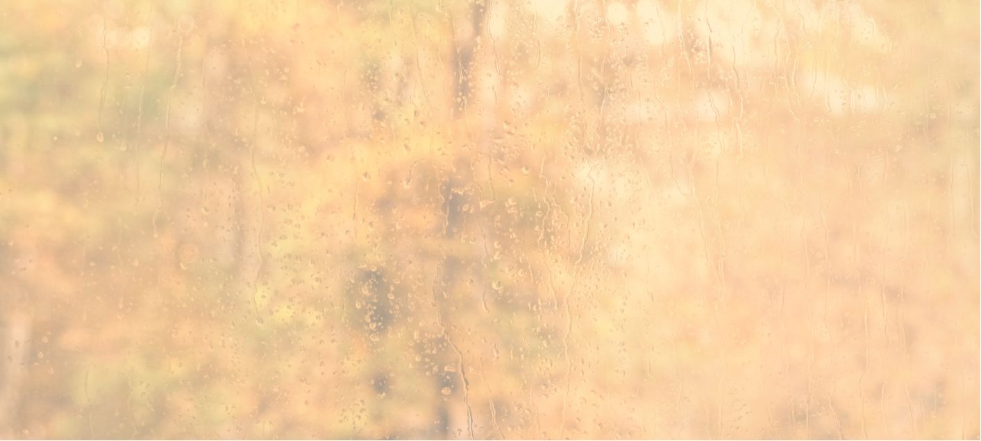 Efterår og regnvejr