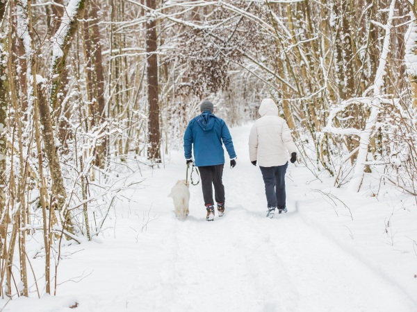 Kvinde, mand og hund i vinterlandskab